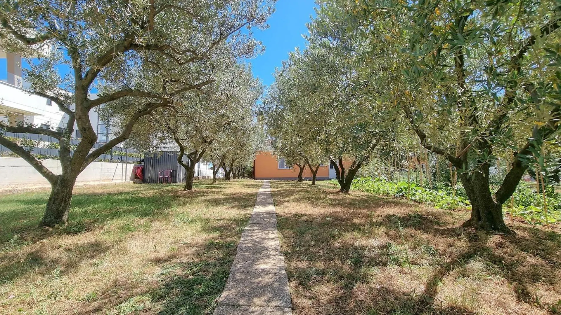 Studio Barbara Novigrad  Apartment Novigrad (Istria)